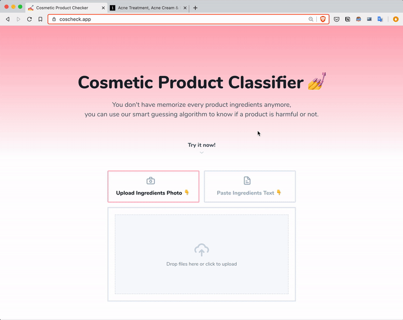 Demo classification from text as input