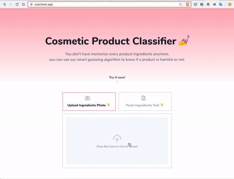 Demo classification from photo as input